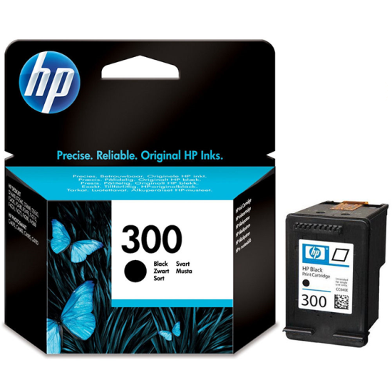 HP 300 (CC640EE) (Black)